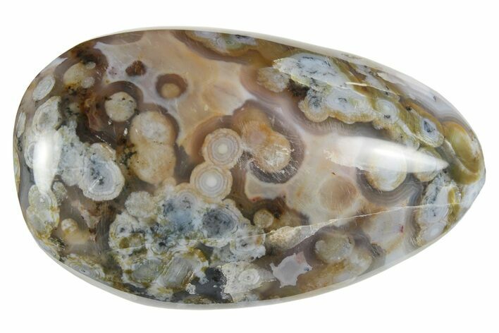 Polished Ocean Jasper Stone - New Deposit #248130